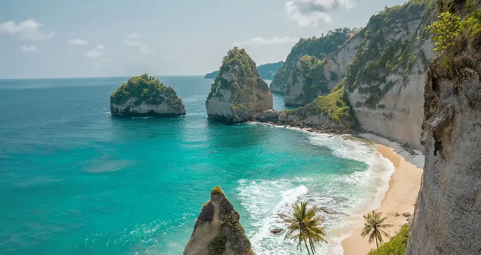 BALI.webp