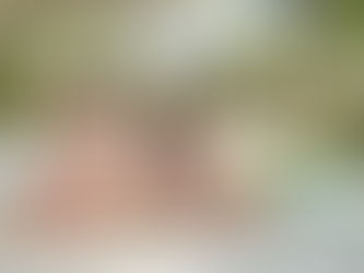 Wisata Sultan di Bali Nggak Harus Mahal, Begini Caranya!