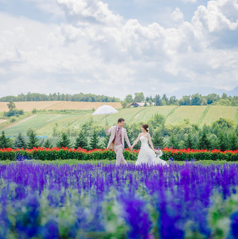 hokkaido flower field wedding photoshoot couple walking