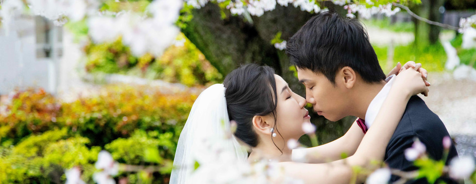 close up romantic kiss beneath cherry blossoms in tokyo