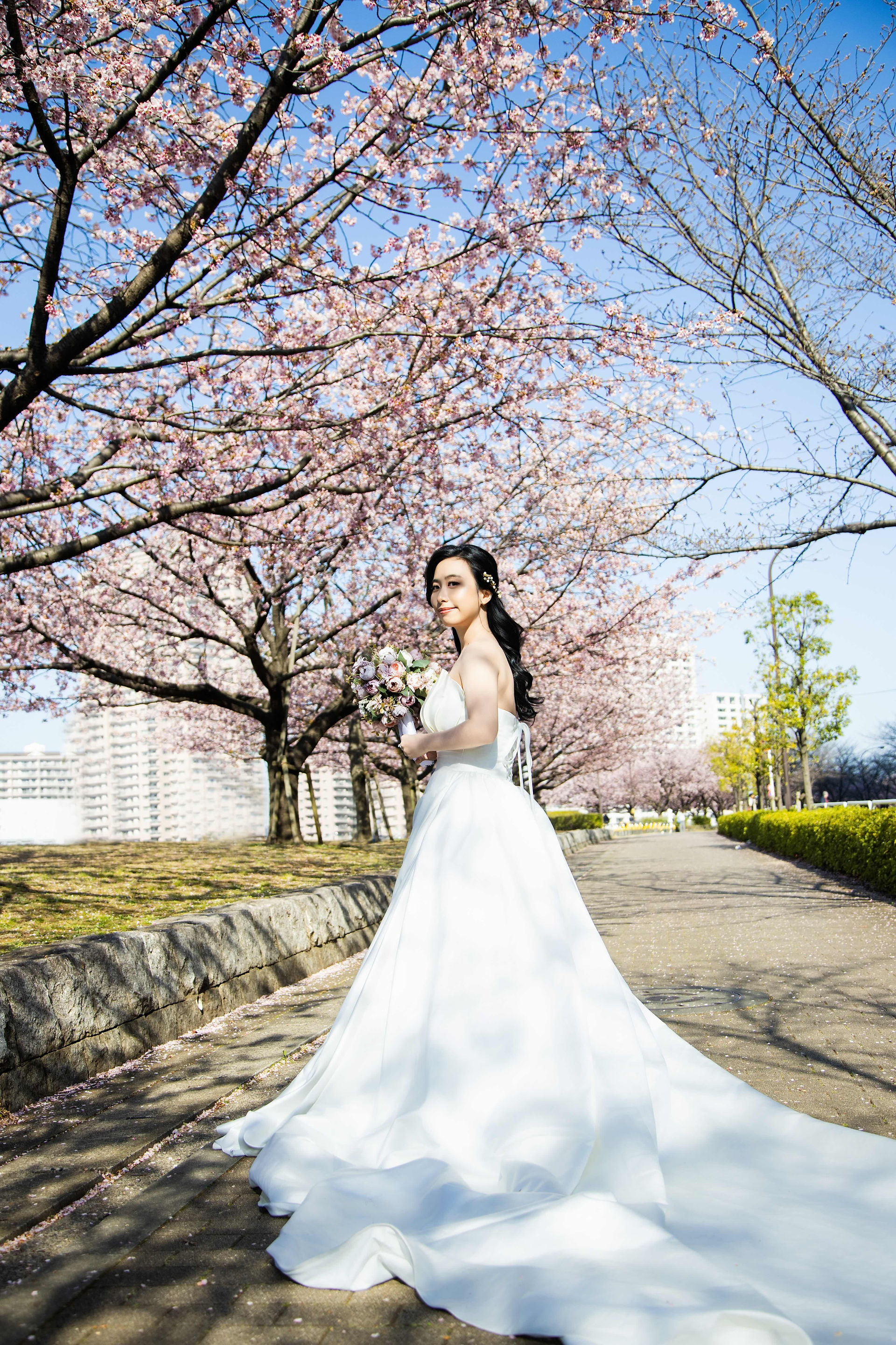 bridal portrait on sakura lined pathway during spring season
