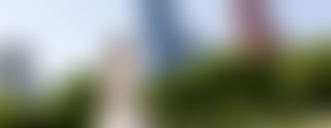 新娘在東京鐵塔與芝公園草地旁拍攝優雅婚紗照。
