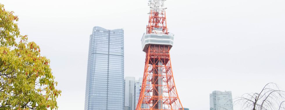 couple portrait walking beside tokyo tower and spring greenery