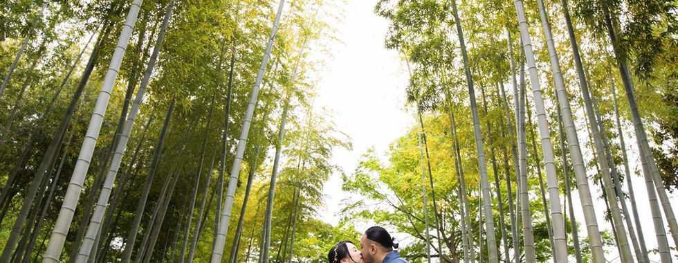 新人穿著和服在日式庭園竹林中拍攝婚紗照。
