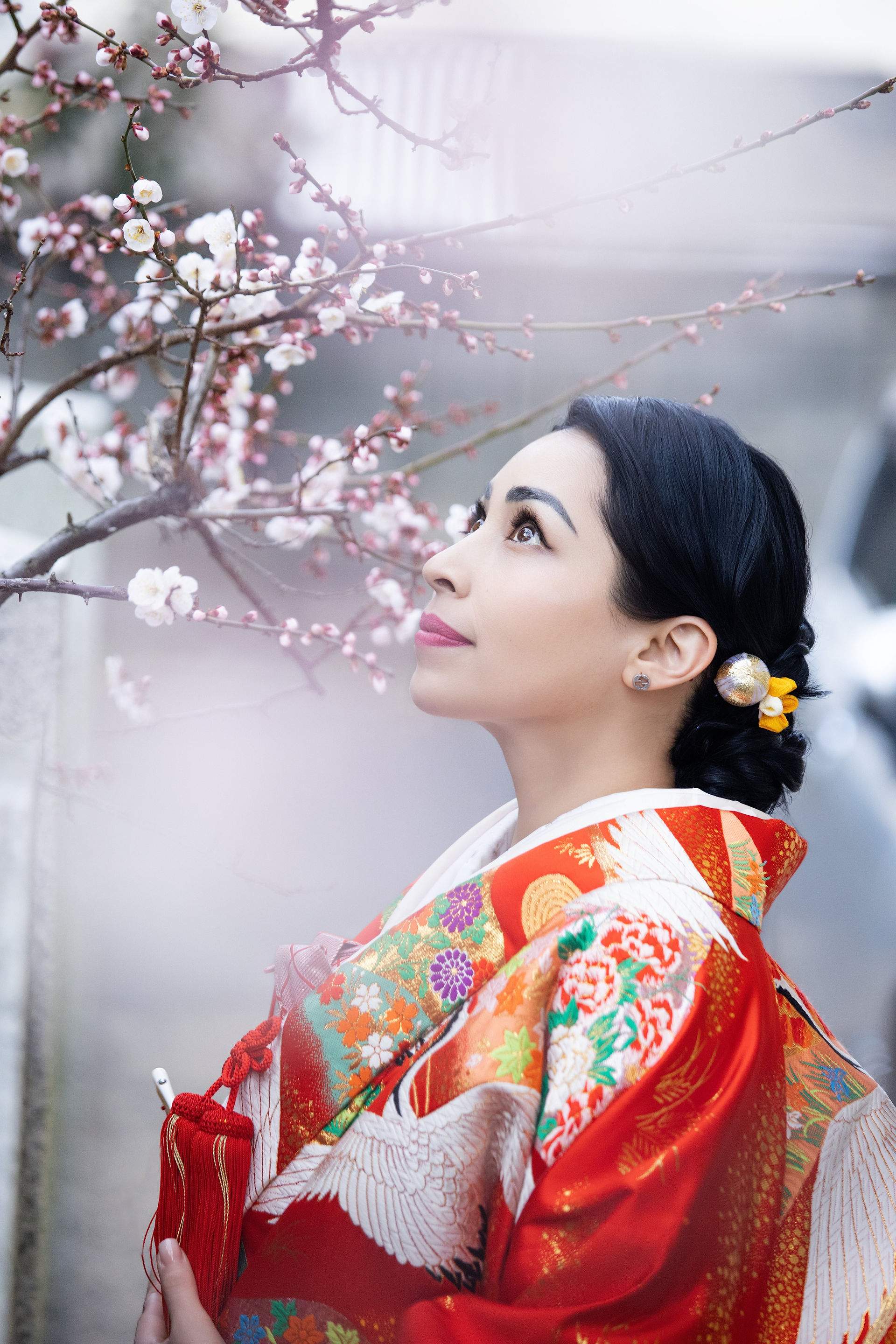 東京の桜の下で色打掛を着た新婦の和装ポートレート。