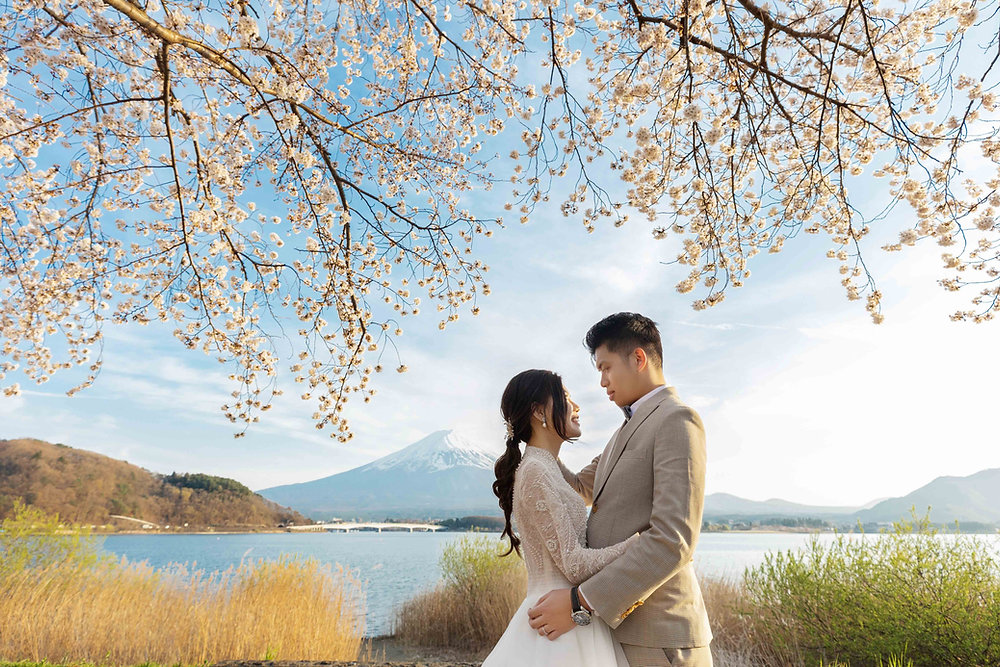 Foto pemotretan pernikahan bunga sakura Mount Fuji