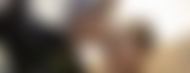 新郎抱起新娘並以鎌倉海景為背景拍攝婚紗照。