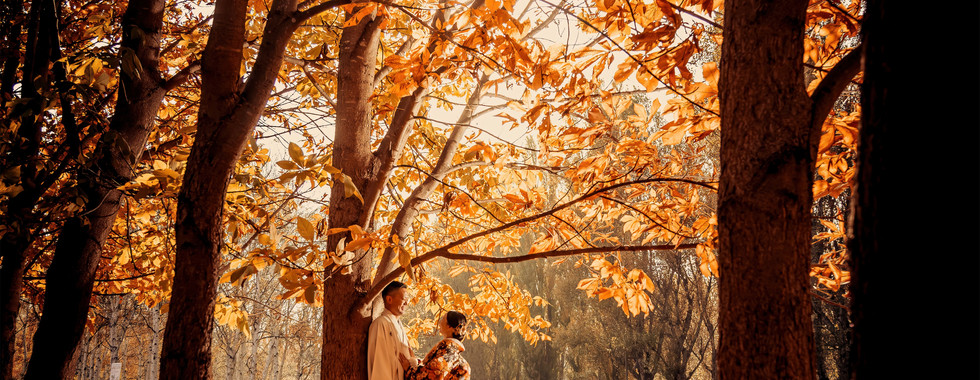 Bride in traditional wedding kimono surrounded by glowing autumn forest scenery in Hokkaido.