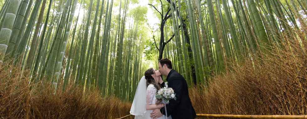 romantic wedding portrait beneath towering bamboo trees