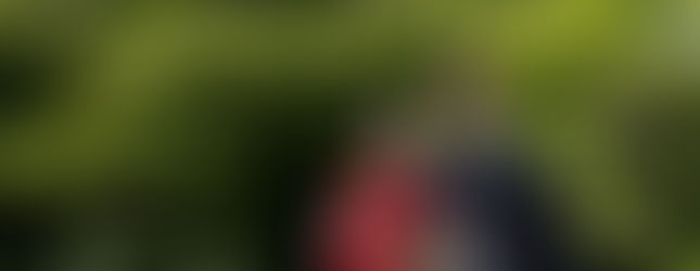 新娘穿著紅色和服在日式庭園綠意中拍攝婚紗肖像。