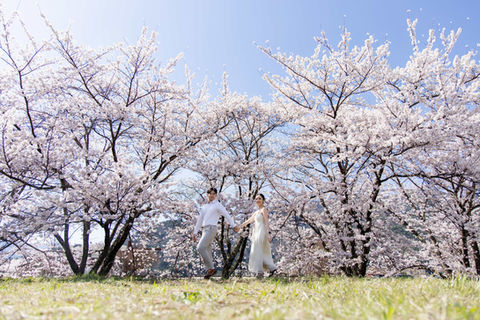 wide angle sakura wedding photography mount fuji japan spring landscape