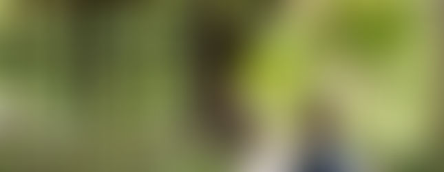 新人穿著和服在傳統日式建築旁拍攝浪漫婚紗照。