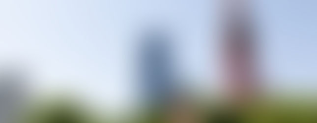 新娘以東京鐵塔與綠意為背景拍攝優雅婚紗肖像。