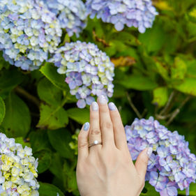Bride in traditional wedding kimono touching blooming hydrangeas in Kamakura