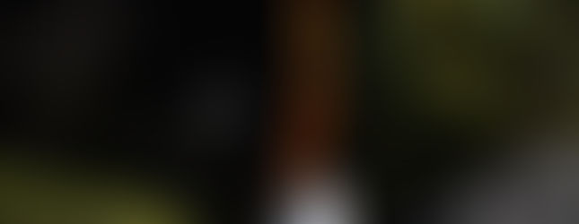 新人在芝公園夜景中以東京鐵塔為背景拍攝婚紗照。