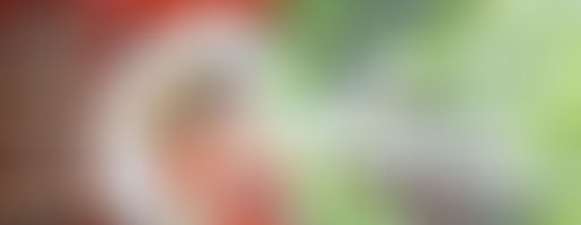 新娘穿著華麗色打掛在鎌倉神社繪馬與綠意中拍攝婚紗肖像。