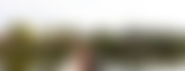 新娘穿著色打掛站在東京庭園橋上拍攝婚紗肖像。