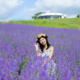 furano lavender bride portrait flower field