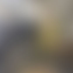 Hands at Work: What Hand Therapists Bring to Occupational Medicine