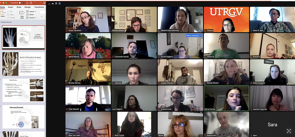 Online Didactic Curriculum & Mentorship