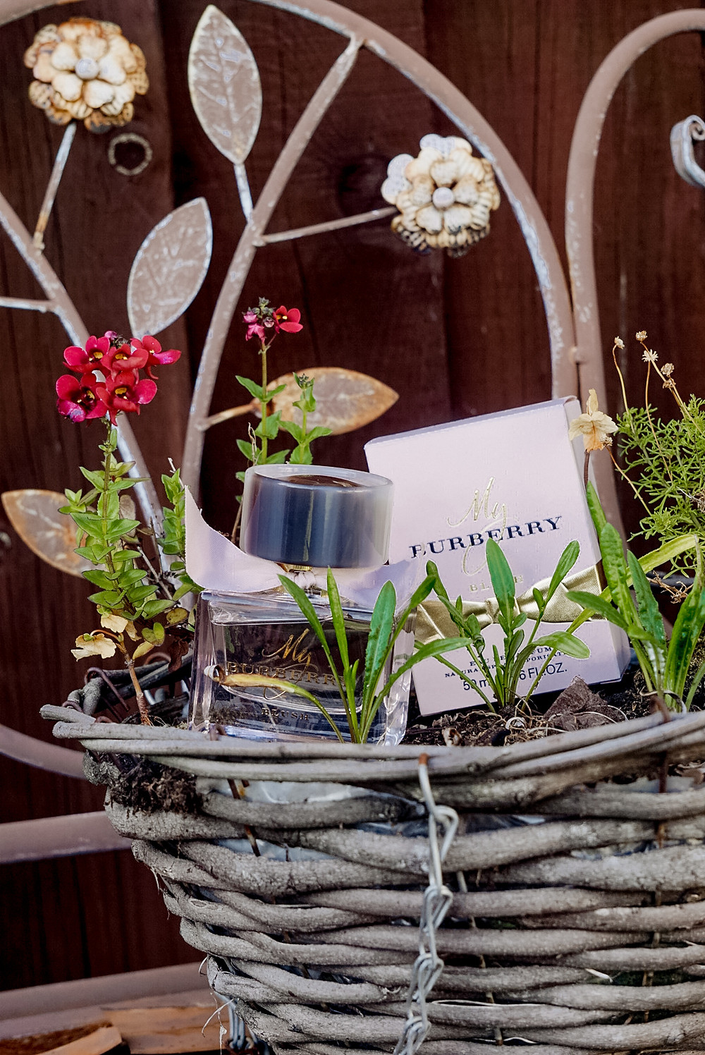 burberry blush notes