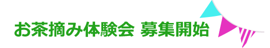 お茶摘み体験会募集怪異