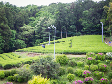 2021年~今年もお世話になりました