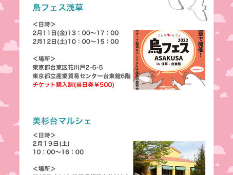 【2022年2月】マルシェ出店のお知らせ