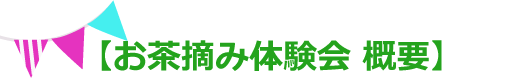 お茶摘み体験会概要