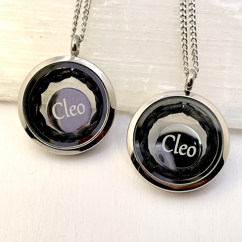 Thumbnail: Locket & Horse Hair Pendant with Engraved Disc