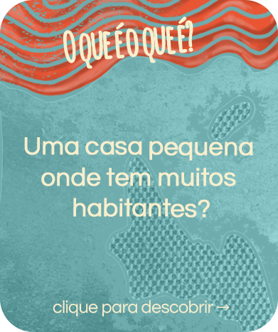 pergunta_BOCA.png