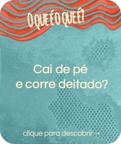 pergunta_CHUVA.png