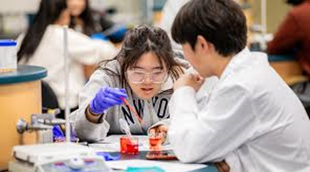 A Guide to High School Internships: Unlocking Opportunities for College and Career Success