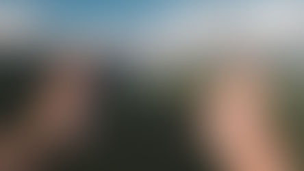 Loslaten.... Ik vind het nog steeds lastig