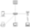 LAN