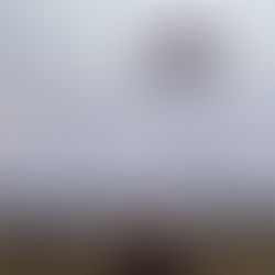 Manteo couple unofficially lands Guinness World Record for most tandem skydives in a day