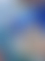 North Carolina Aquariums named finalist in global StoryMap competition for piece on sand tiger sharks in Graveyard of the Atlantic