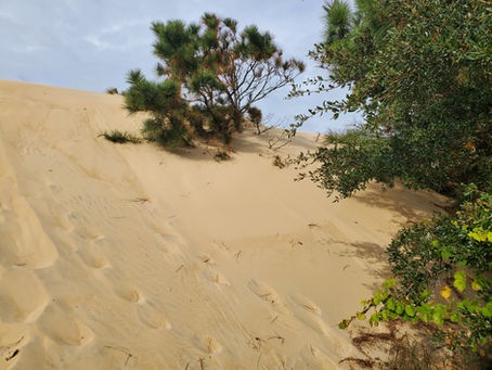 Jockey’s Ridge redesignated area of environmental concern after over 2 years of contention