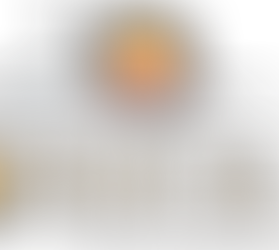 Municipal election 2025: Duck