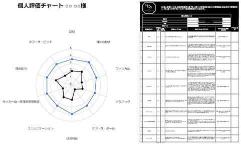 動画評価スパイダーチャート_フィードバックシートサンプル2.jpg
