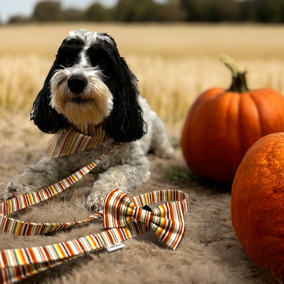 Thumbnail: Autumn Harvest Cat Bandana
