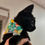 Thumbnail: Dandy Daisy Cat Bandana