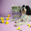 Thumbnail: Spring Awakening Dog Bandana 