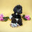 Thumbnail: Spring Awakening Dog Collar