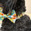 Thumbnail: Dandy Daisy Dog Collar 