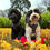 Thumbnail: Pineapple Passion Dog Harness