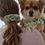 Thumbnail: Crazy Daisy Dog Bandana 