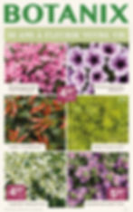 Fleurs vivaces et annuelles à Pépinière Lapointe, parfaites pour le paysagement.