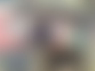 Leilão beneficente na Terra do Boi arrecada R$ 80,5 mil para o Asilo Nossa Senhora da Candelária