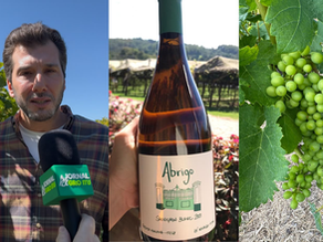 Fazenda Mariana produz o primeiro vinho de Itu
